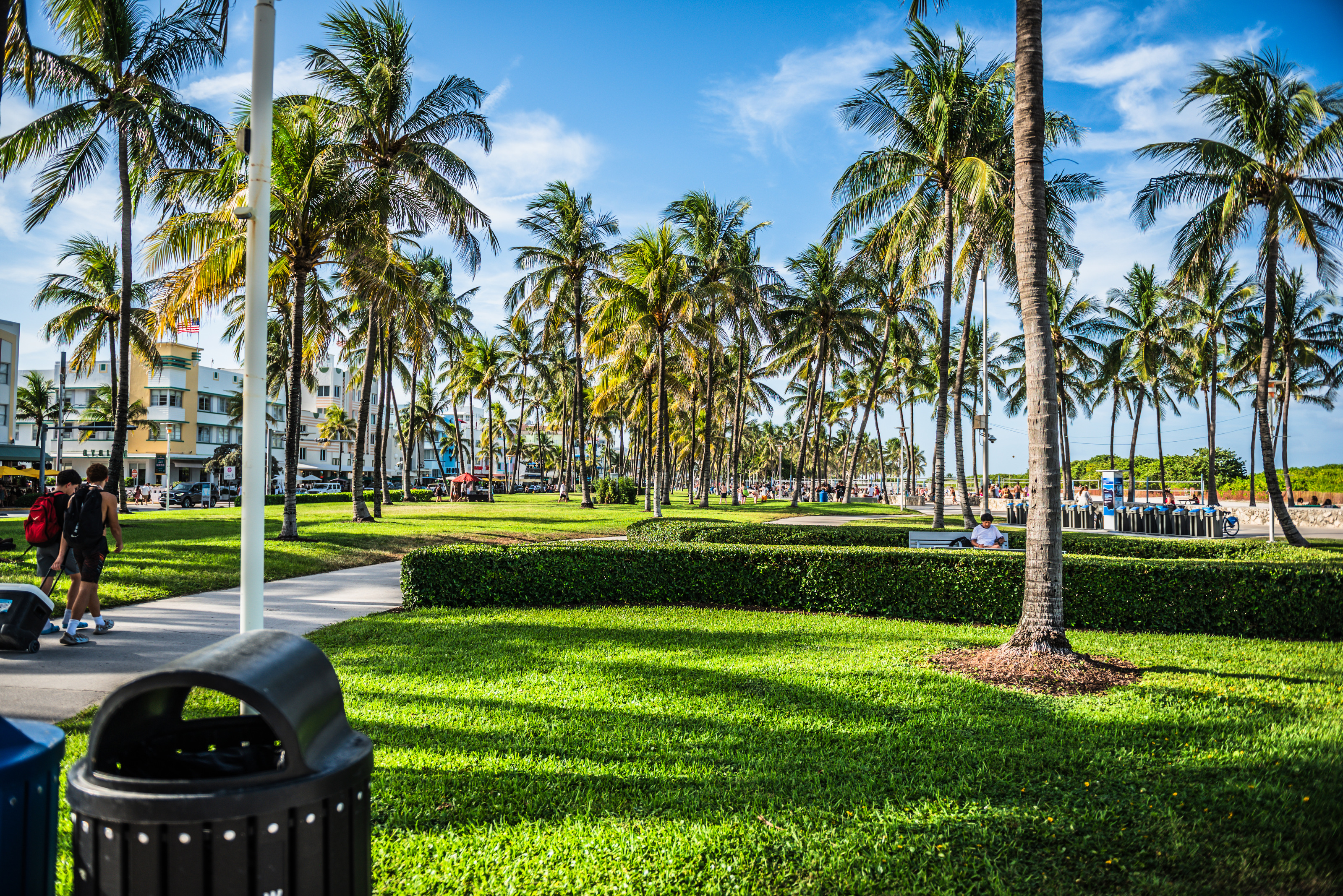 Quiet park corner with palm trees in Miami Beach