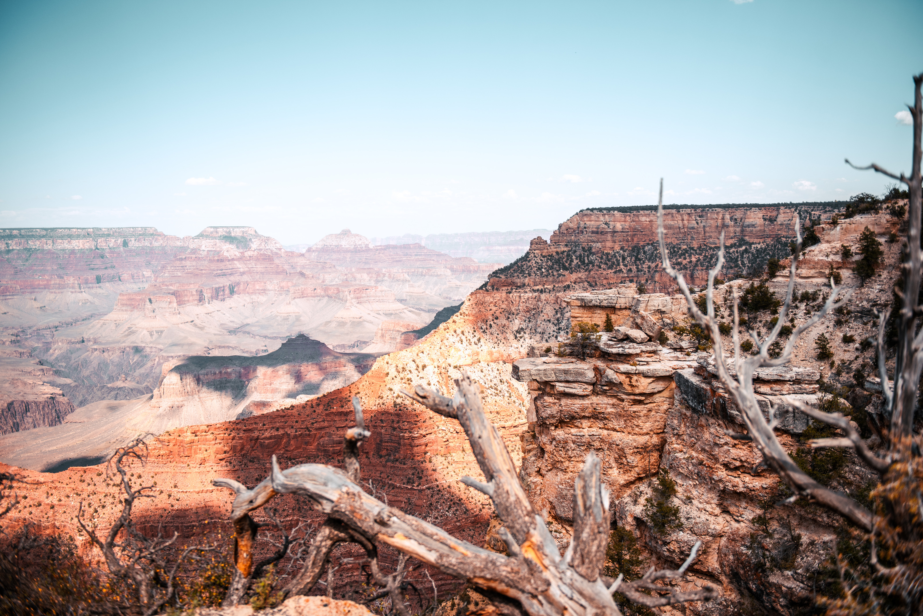 Grand Canyon vista from the South Rim