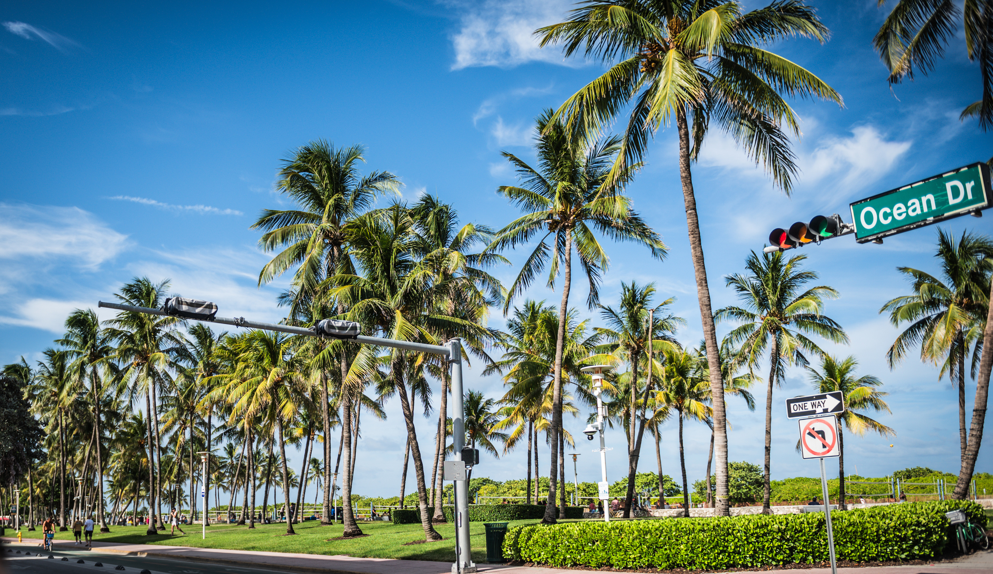 Ocean Drive street sign under palm trees in Miami Beach